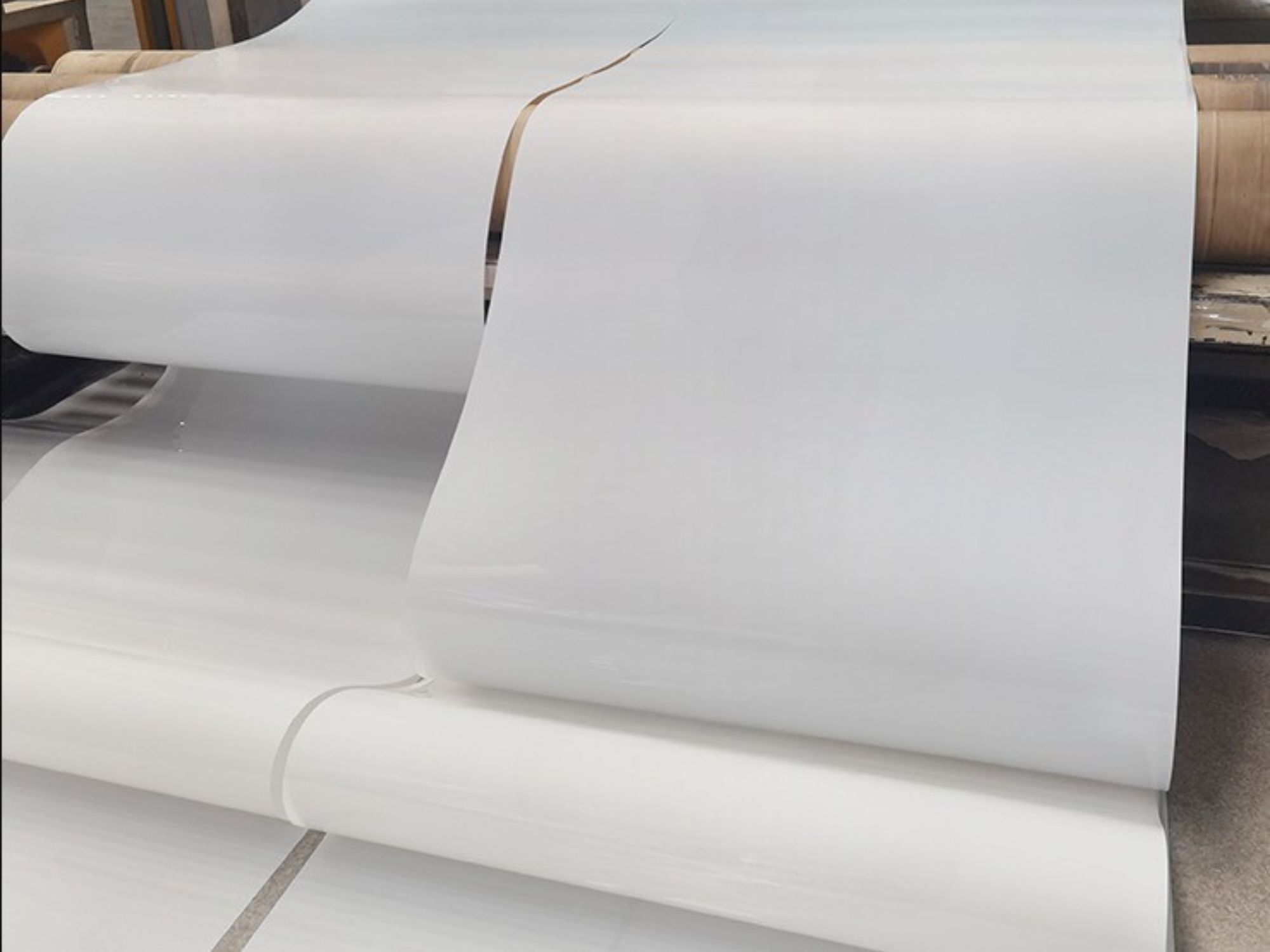 Poultry manure conveyor belts